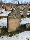 image of grave number 516589